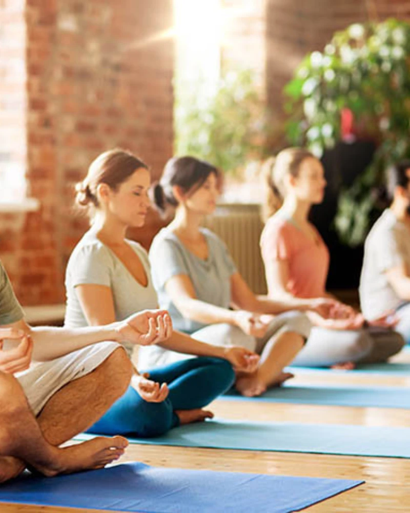 Yoga & Wellness
